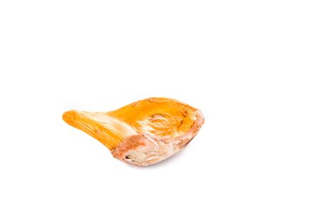 Small flat and soft seed of the top grade Musang King durian varietyの写真素材