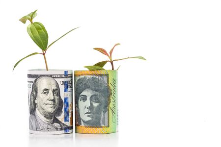 Concept of green plant grow on USD against Australian Dollar currency.の写真素材