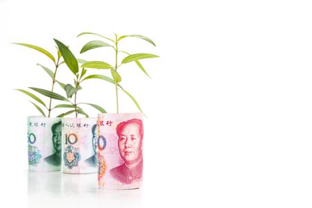 Concept of green plant grow on China Yuan Renminbi currency note.の写真素材