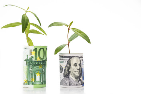 Concept of green plant grow on USD against EURO currency.