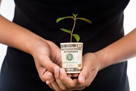 Concept of presenting plant growing from USD currency, symbolizing growing financial wealth.の写真素材