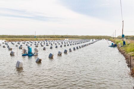 Aquacultural farm for oysters.