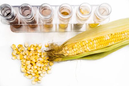 Corn generated ethanol biofuel with test tubes on white backgroundの写真素材