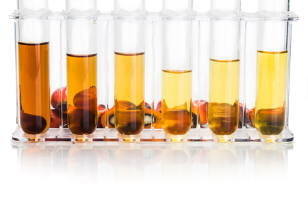 Oil palm biofuel biodiesel with test tubes on white backgroundの写真素材