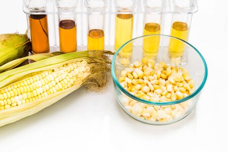 Corn generated ethanol biofuel with test tubes on white backgroundの写真素材