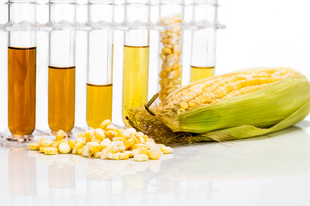 Corn generated ethanol biofuel with test tubes on white backgroundの写真素材
