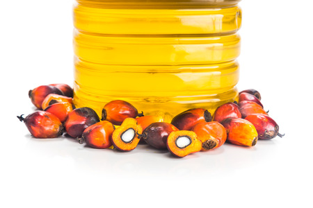 Refined palm oil in bottle with fresh oil palm fruitsの写真素材