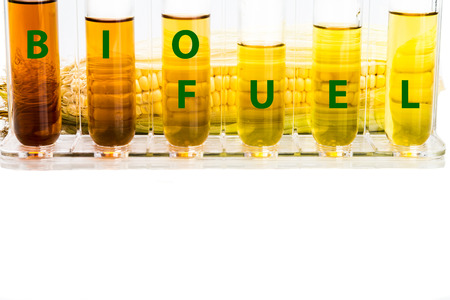Corn generated ethanol in test tubes with BIOFUEL word.の写真素材