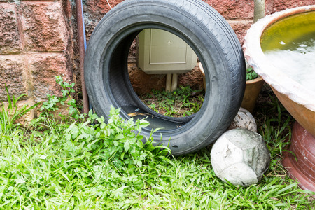 Used tyres potentially store stagnant water and become mosquitoes breeding groundの写真素材