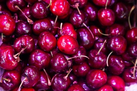 Heap of freshly harvested sweet and juicy organic cherries with stem