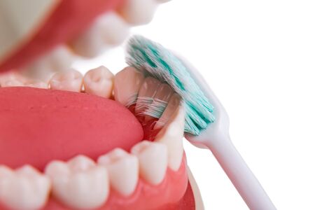 Closeup demonstration on soft and slim bristle toothbrush brushing in-between teeth