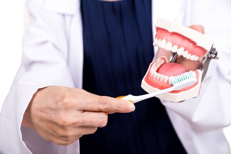 Series of dentist showing correct method of brushing teeth using soft slim tapered bristle...