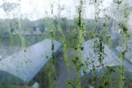 Dirty unhygienic mold stain on glass window cause by dampness. Requires restoration.