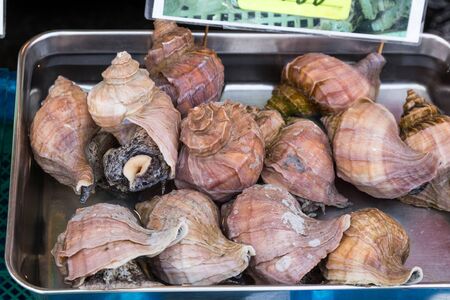 Edible sea snails seafood at Japanese marketの写真素材