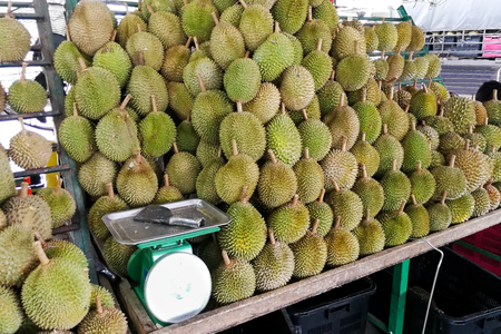 Varienty of durian displayed and sold in Malaysa stall including musang king