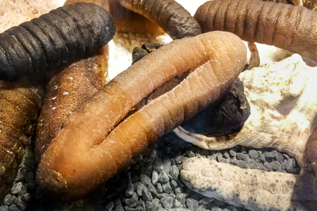 Preserved dried sea cucumber. Supply good source of collagen and popular ingredient in Chinese food...