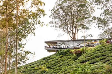 CAMERON HIGHLANDS, MALAYSIA, APRIL 6, 2019: BOH Sungai Palas Tea center offers scenic view with cafe and shop, popular tourism spot at Cameron Highlandのeditorial素材