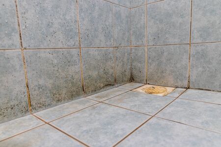 Mildew, dirty unhygienic mold growing on bathroom wall tile surfaceの写真素材