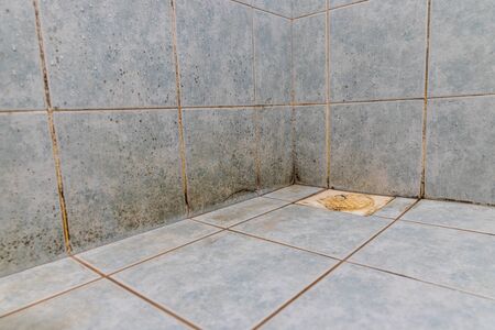 Mildew, dirty unhygienic mold growing on bathroom wall tile surfaceの素材 [FY310146080553]