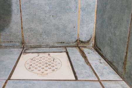 Mildew, dirty unhygienic mold growing on bathroom wall tile surfaceの写真素材