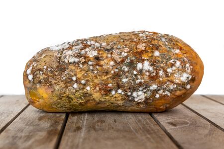 Rotten and decomposing papaya with mold and fungus on wooden table