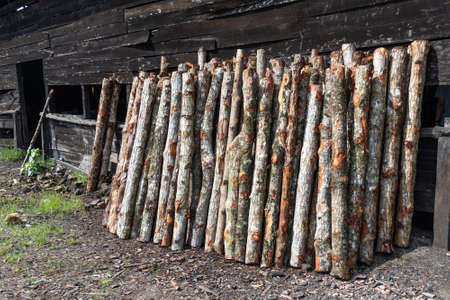 KUALA SEPETANG, MALAYSIA, August 31st 2020: Traditional charcoal  factory with big kins that bakes mangrove logs into charcoalのeditorial素材