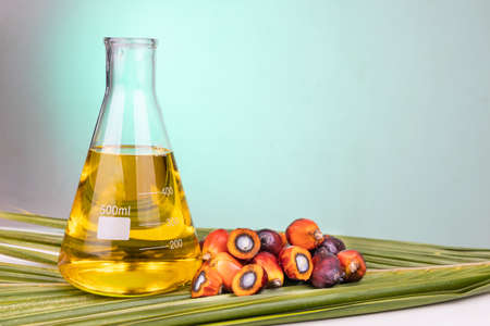 Oil palm fruits with biofuel in beaker in laboratory with green backgoundの写真素材