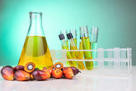 Oil palm fruits with distilled in beaker test tubes in laboratory.の写真素材