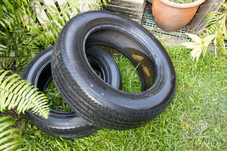 Old abandoned tyre collected still water after rain. Condusive place for aedes mosquito breeding
