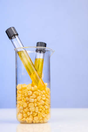 Ethanol biofuel derived from corn maze with beaker test tubes in laboratory on blue backgroundの写真素材