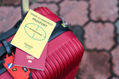 Conceptual Covid-19 Immunity Passport and travel passport on luggageの写真素材