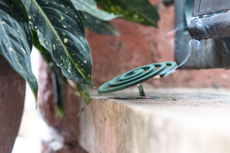 Traditional mosquito repellent coil emit smoke to repel mosquito outdoorの写真素材