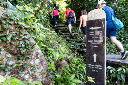 Tourists walking past directonal post to canopy walkway and teresek hill at Taman Negara National Park, Pahangの写真素材