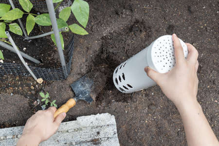 Person installing worm tower into soil in garden for organic composing