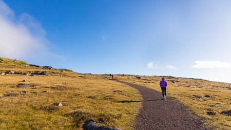 Tourist visiting Latrabjarg, popular scenic destination in Westfjords Iceland with natural cliffs, home to million of birds including puffins and razorbillsの写真素材
