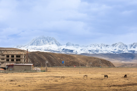Mount Yala is one of the four holy mountains in the Garze Tibetan Autonomous Prefecture, Sichuan...