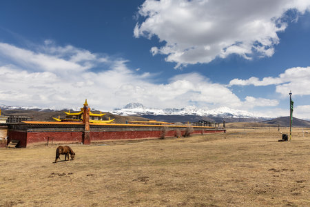 Mount Yala is one of the four holy mountains in the Garze Tibetan Autonomous Prefecture, Sichuan China. This view is from the West side from Tagong Monastery.の写真素材