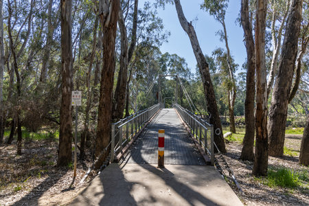 The suspension bridges in Bullawah Cultural Trail, Wangaratta Australia represent the coming together between indigenous and non-indigenous people.の写真素材