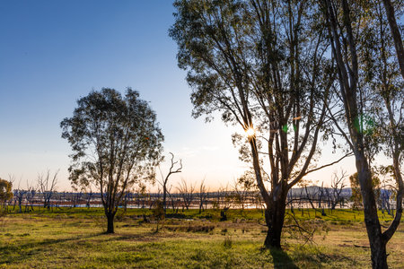 Sunset at the Winton Wetlands, a wetland with stump woods that is home to variety of native flora and fauna in Victoria, Australia.の写真素材