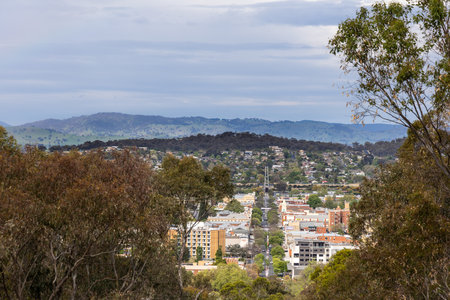 Elevated view of Albury town from Monument Hill with lush foliage in New South Wales, Australiaの写真素材