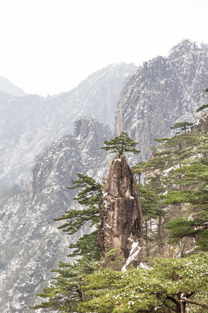 The Magic Brush with Flower on Tip Peak formation in Huangshan or Yellow Mountain in China. Popular tourism destination with natural landscapeの写真素材