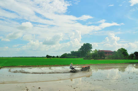 farmer ride rice tractor for preparing the ground for rice plantation.の写真素材