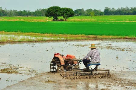 farmer ride rice tractor for preparing the ground for rice plantation.の写真素材