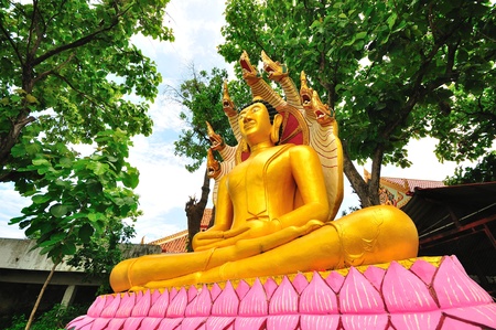 Golden buddha
