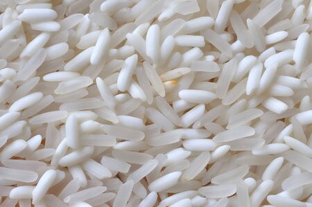Close up of Thai rice seedの写真素材