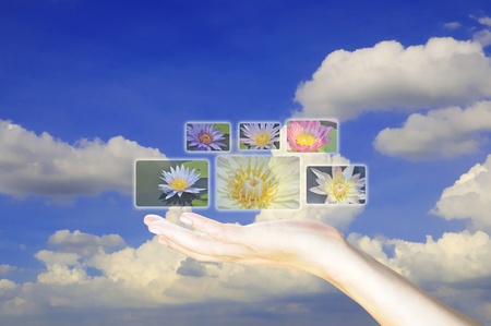 Transparent button on handの写真素材