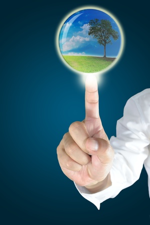 Business male hand touch the crystal ball with tree insideの写真素材