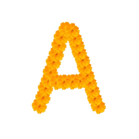 alphabet from yellow and orange flowers. Isolated on white background.の写真素材