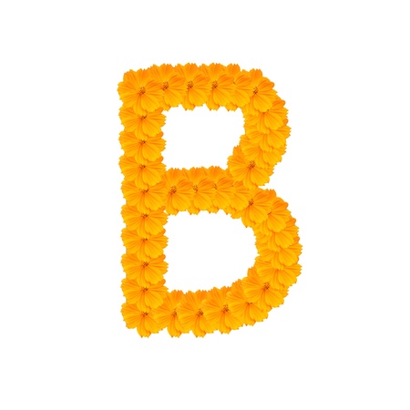 alphabet from yellow and orange flowers. Isolated on white background.の写真素材