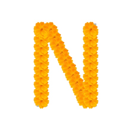 alphabet N from yellow and orange flowers. Isolated on white background. With clipping pathの写真素材
